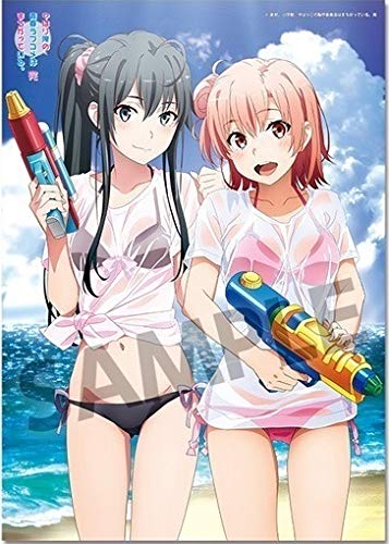 Amazon.co.jp: やはり俺の青春ラブコメはまちがっている。完 お風呂
